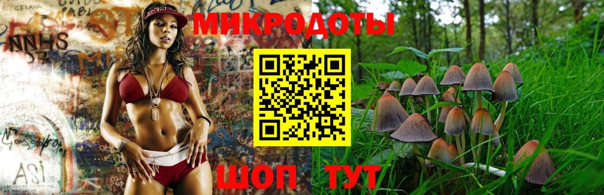 Псилоцибиновые грибы прущие грибы Жигулёвск