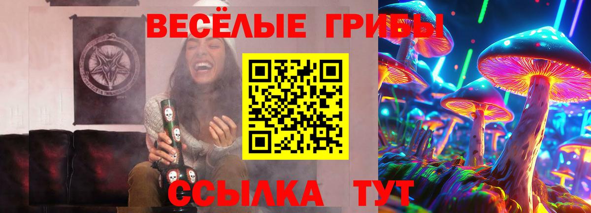 Псилоцибиновые грибы мицелий  Галлюциногенные грибы Cubensis  Жигулёвск  Вход с VPN 